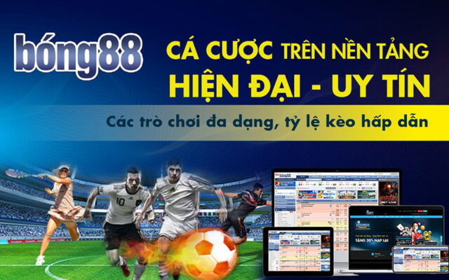 Lý do bạn nên cá cược thể thao ảo 8live